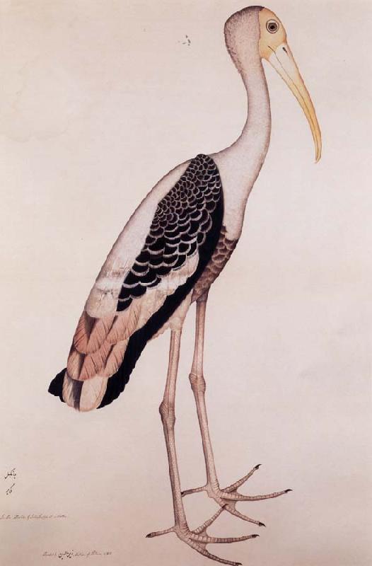 Zayn AL Din A Painted Stork oil painting image